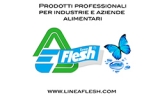 Linea Flesh S.r.l. Linea Flesh S.r.l.