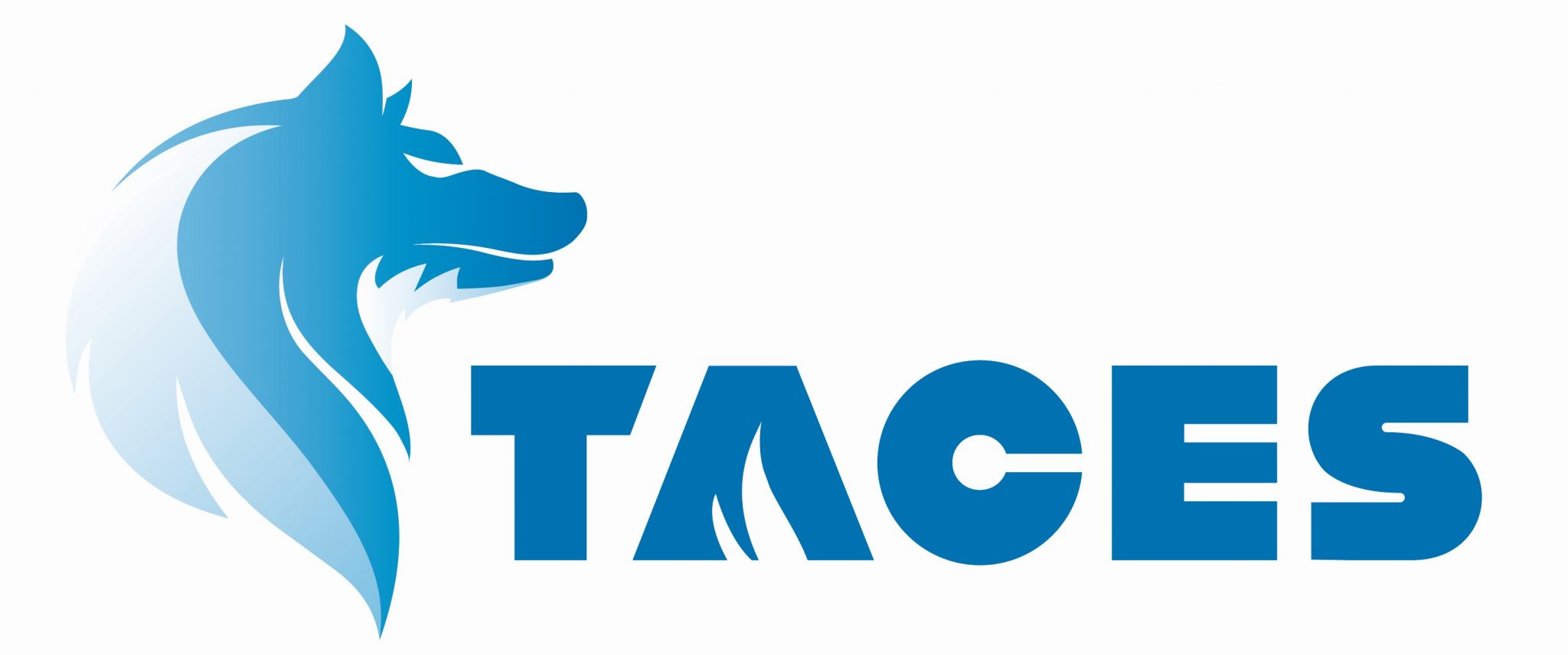 Taces S.r.l.