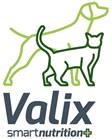 VALIX S.R.L.