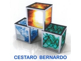 Cestaro Bernardo S.r.l