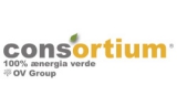 Consortium Energia Verde S.p.A. Consortium Energia Verde S.p.A.