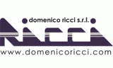 Domenico Ricci S.r.l.