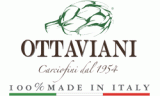 Ottaviani S.r.l.